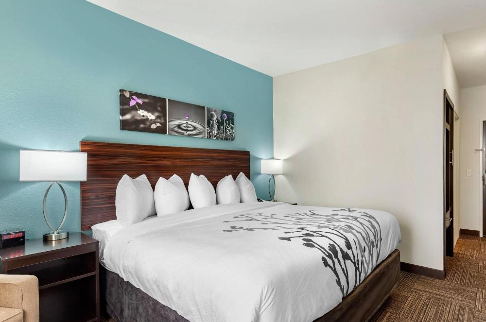 King Room - Non-Smoking interior